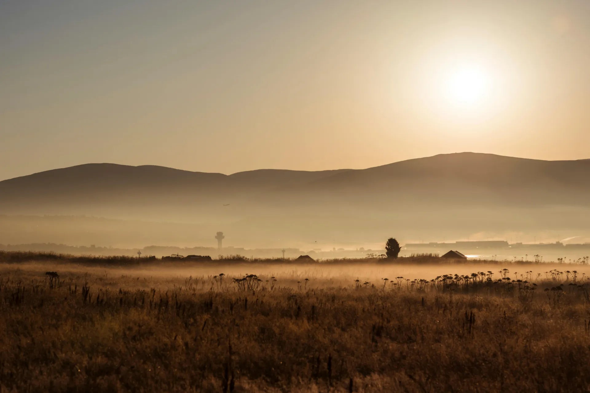 A serene field with a bright sun rising, casting warm light over the landscape.